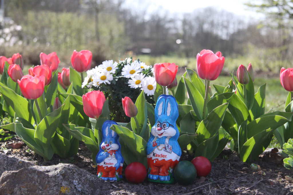 Ostern steht vor der Tür – buchen Sie jetzt Ihren Urlaub auf dem Kronshof!