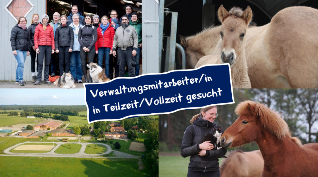 Verwaltungsmitarbeiter/in in Teilzeit/Vollzeit gesucht