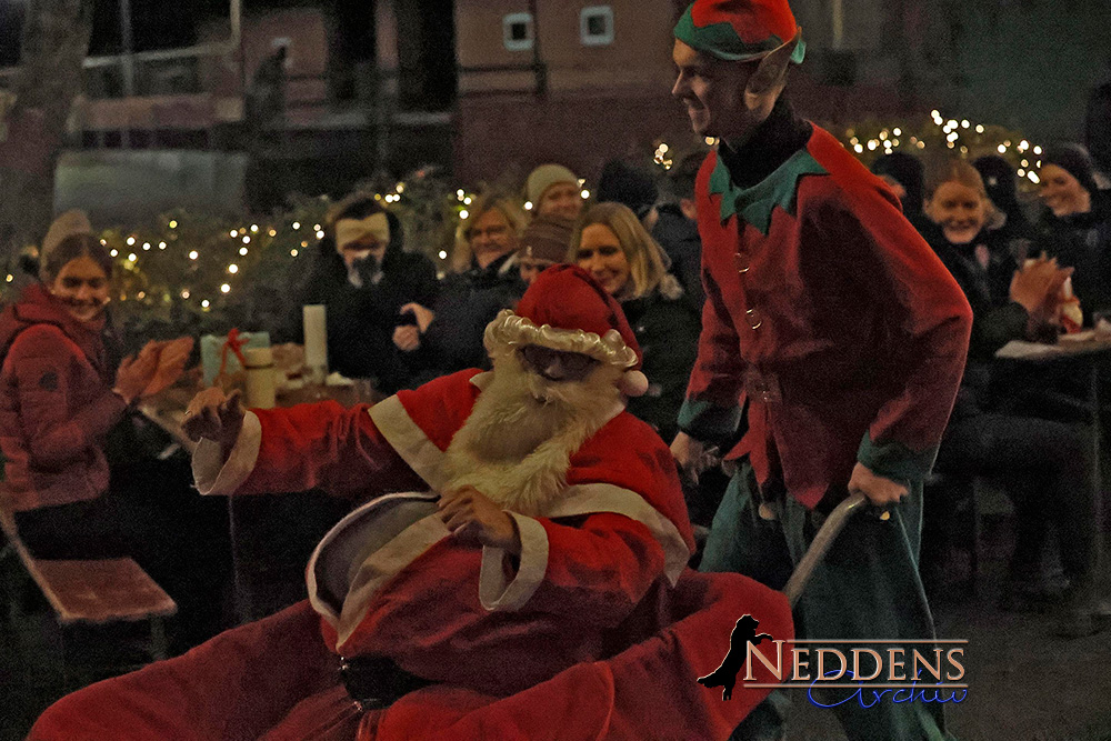 Winter-Special 2025 ✨