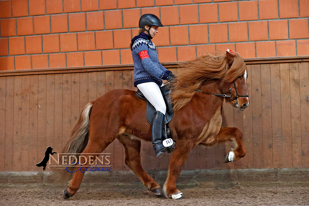 Winter-Special 2025✨