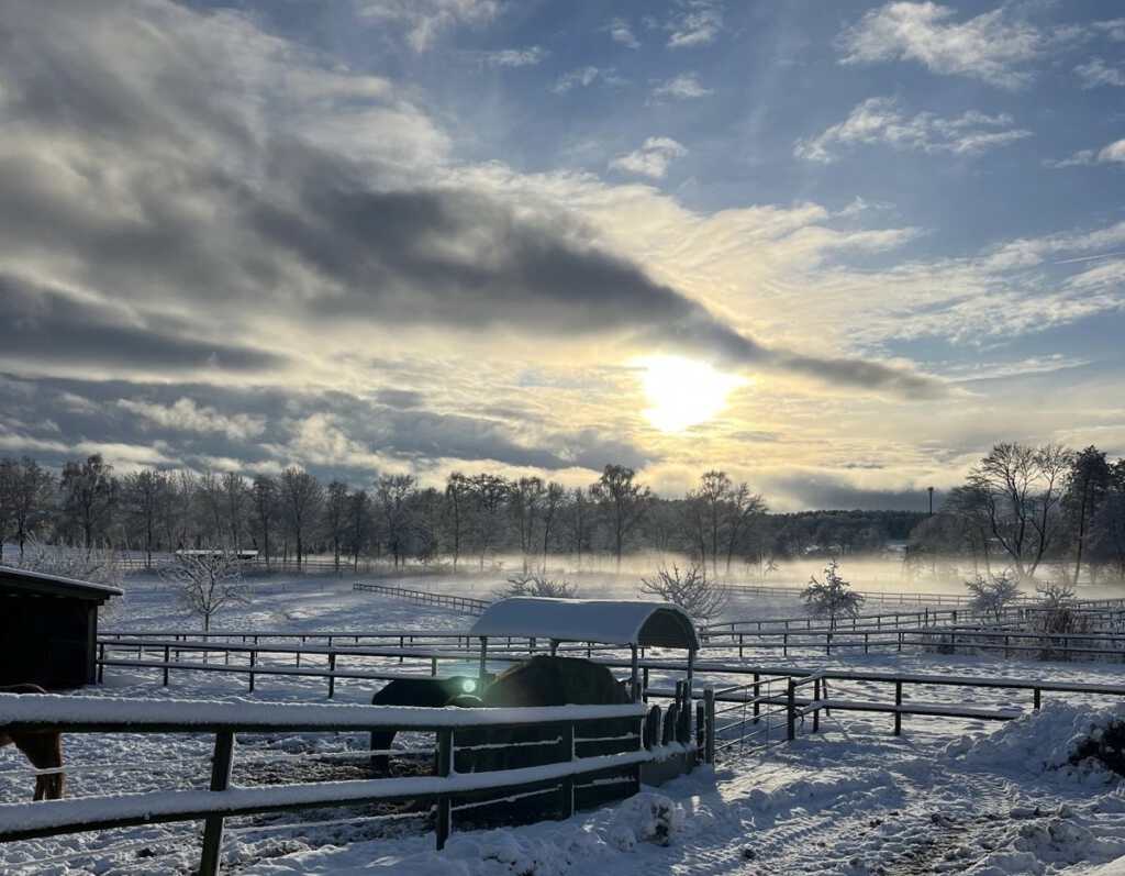 ❄️Neujahrsgrüße aus dem Winterwonderland ❄️
