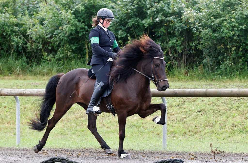 Herzlich willkommen im Team, liebe Stephi!