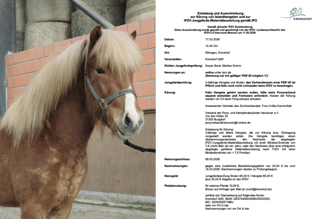 Jungpferdebeurteilung & Körung – Die Ausschreibung ist jetzt online!