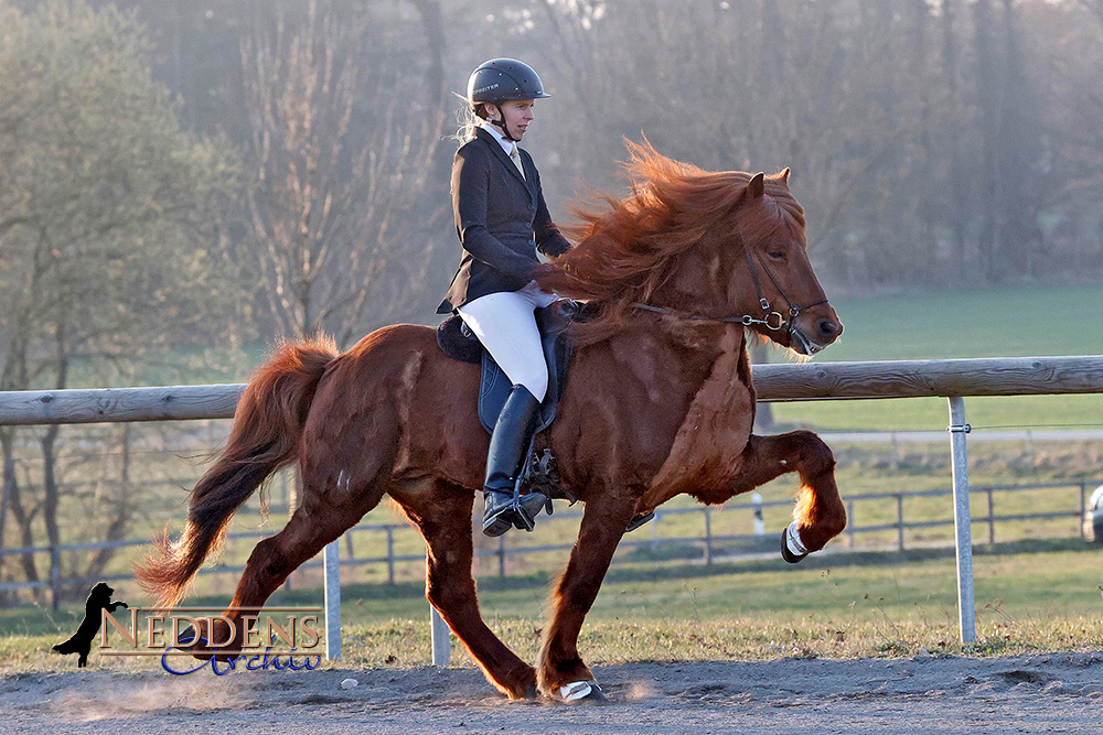 Das war der Qualitag am 21.03.