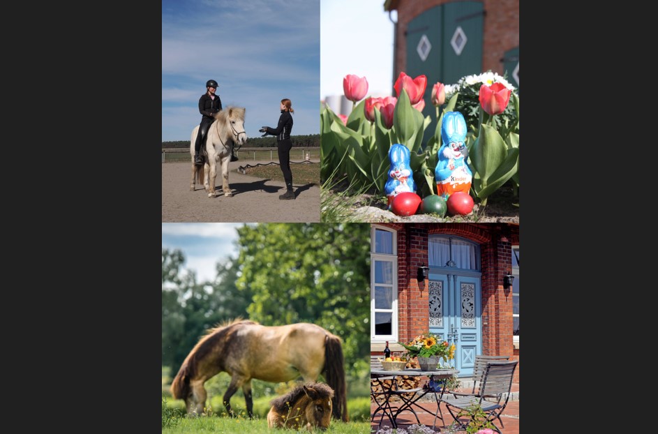 Spontan Lust, dich über Ostern weiterzubilden?