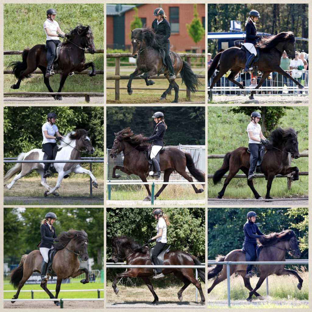 Wir sind Züchter des Jahres 2025!