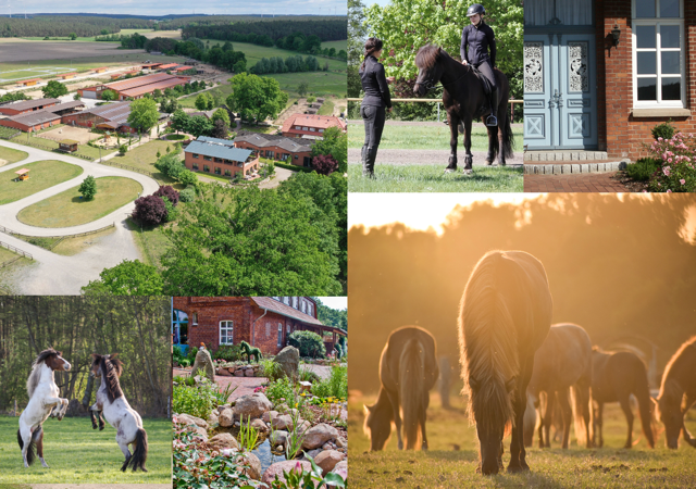 Bald beginnt der Frühling und damit auch die Osterferien🌸!