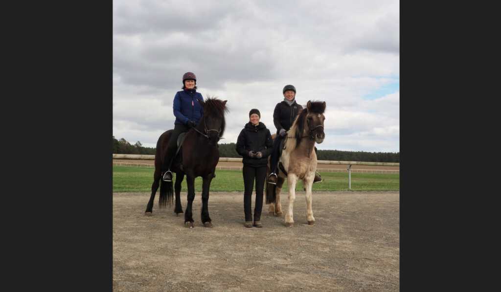 Weiter geht’s mit unserem Kursangebot, vielleicht ist etwas für dich dabei 🥰