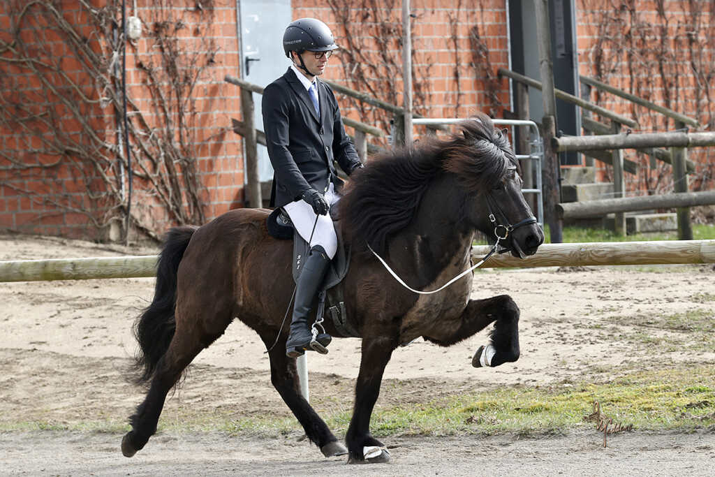 Erfolgreiches Turnierdebüt für Stefan & Ósk