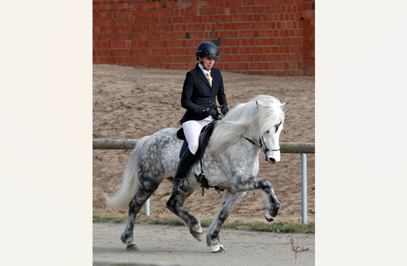 Gelungene Premiere für Frauke & Hátíð