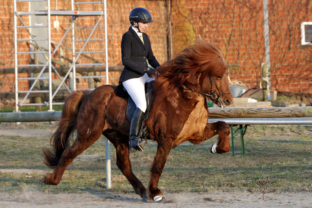 Erfolgreicher Start für Frauke & Sólfaxi