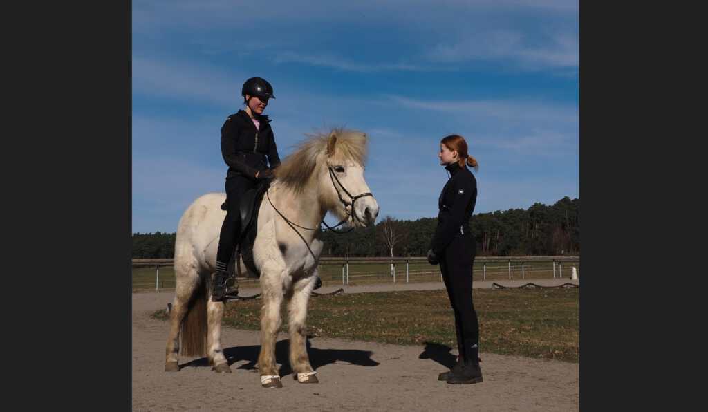Gerne möchten wir euch unser Kursangebot vorstellen, vielleicht ist etwas Passendes für euch dabei🥰.