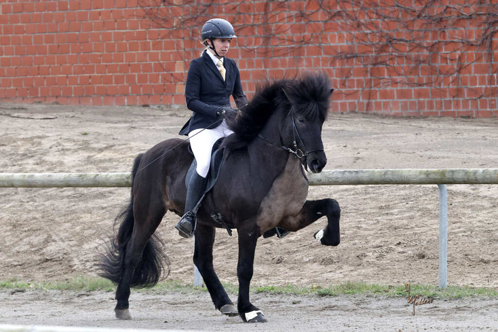 Stolz auf unsere Youngster!