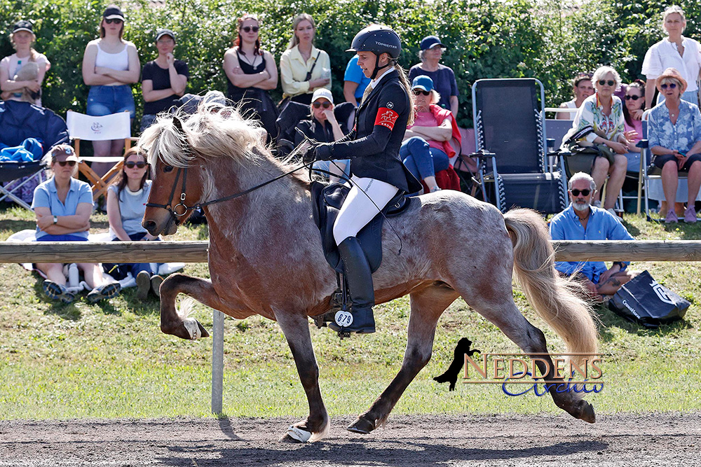 Dritter Tag beim Kronshof-Special