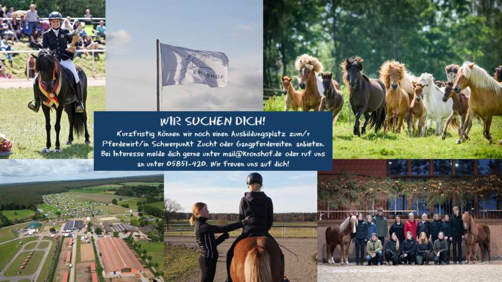 Wir suchen Dich!