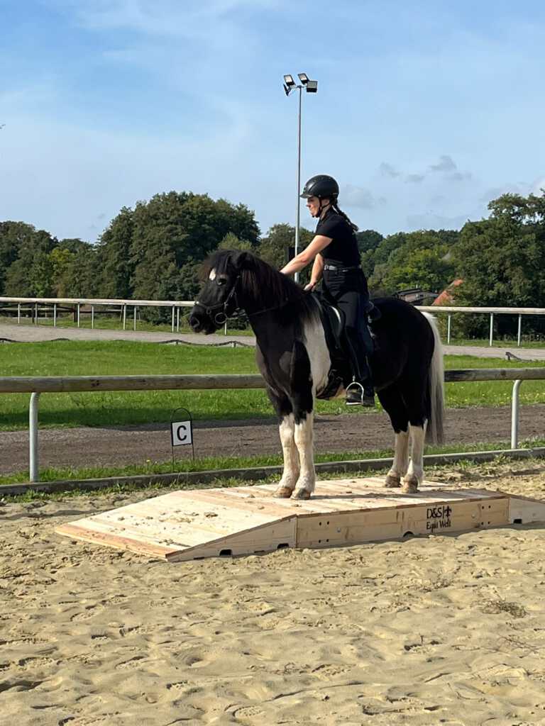 Herbstlich-bunter Vereinstag des IPF Kronshof e.V.
